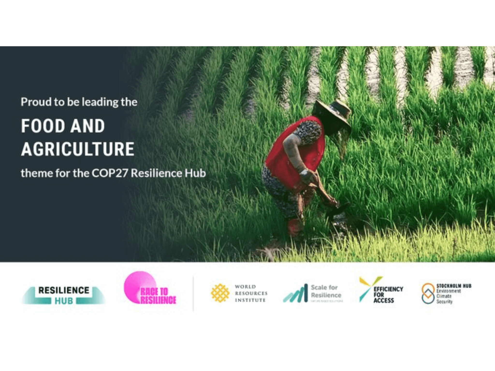 Scale for Resilience at COP27