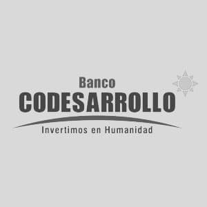 Codesarrollo